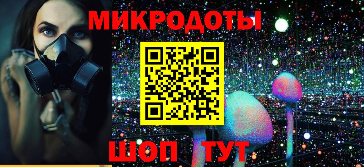 Галлюциногенные грибы мухоморы Унеча
