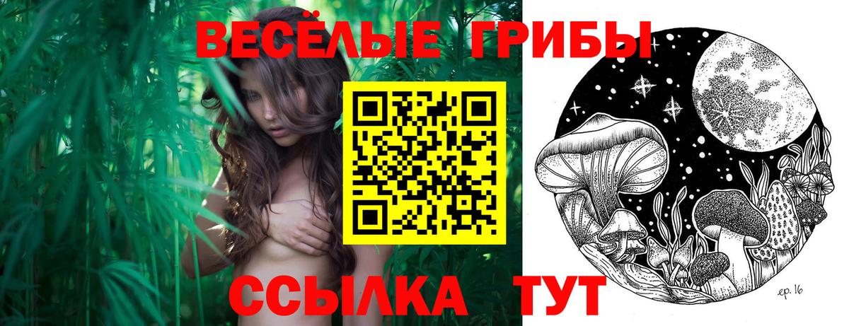 Галлюциногенные грибы Psilocybine cubensis  Галлюциногенные грибы MAGIC MUSHROOMS  Вход с VPN  Унеча 